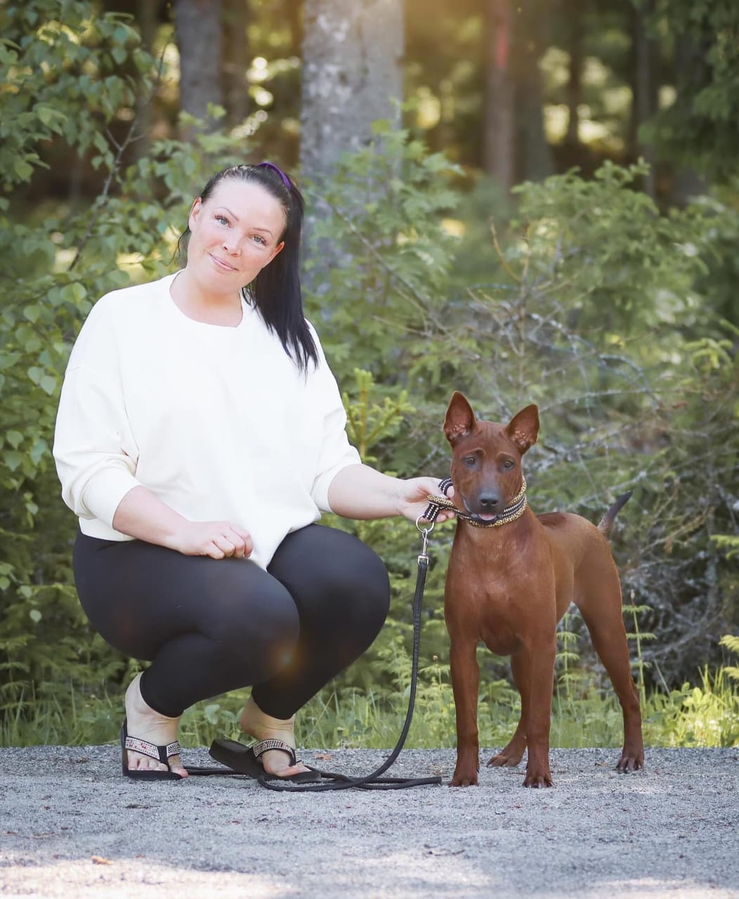 Thai Ridgeback puppy