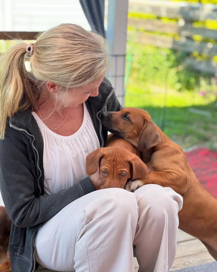 Rhodesian Ridgeback