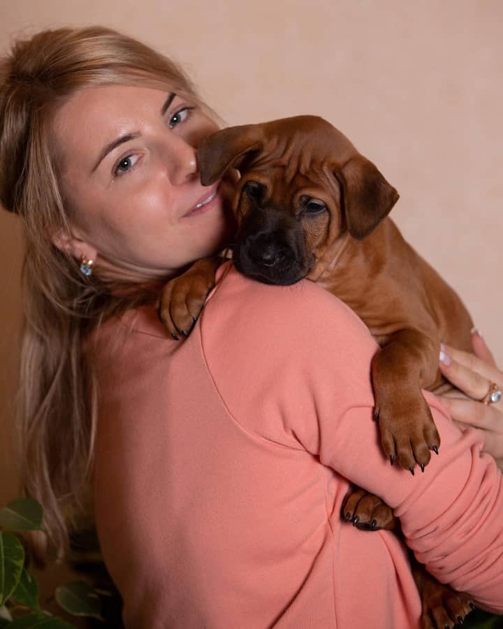 Thai Ridgeback puppies