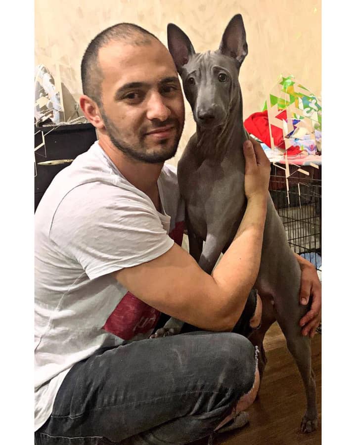 Thai ridgeback puppies